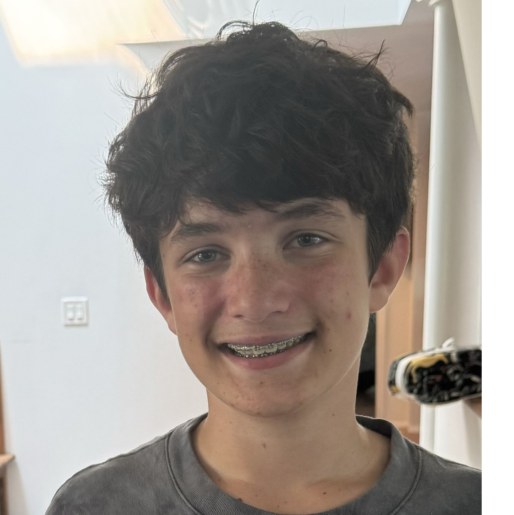Profile of Owen Stein