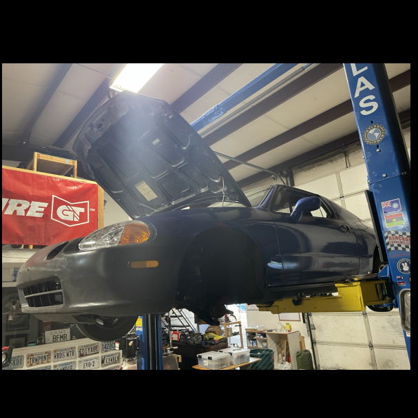 Profile of Karina Pickett