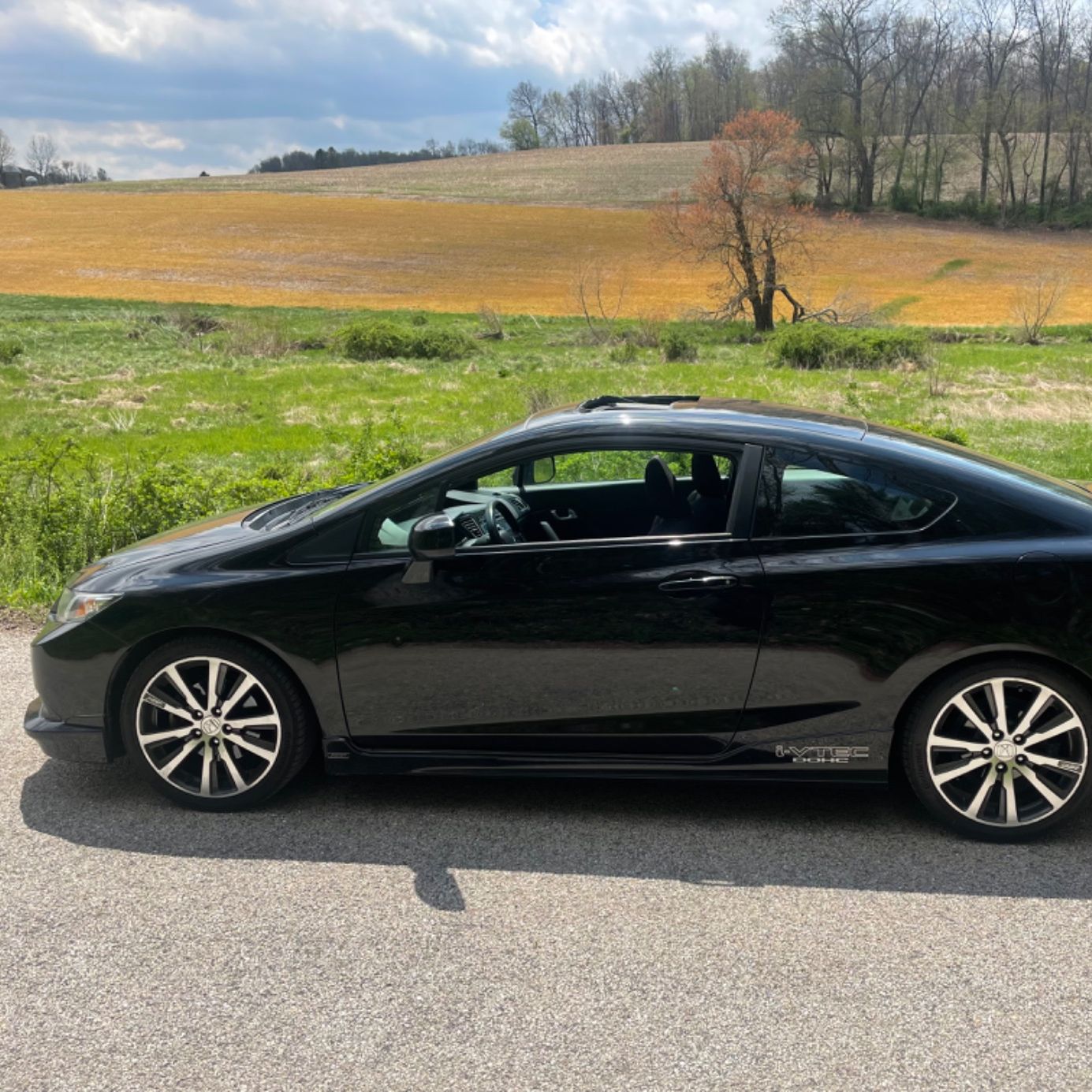 Profile of Alexander Davis