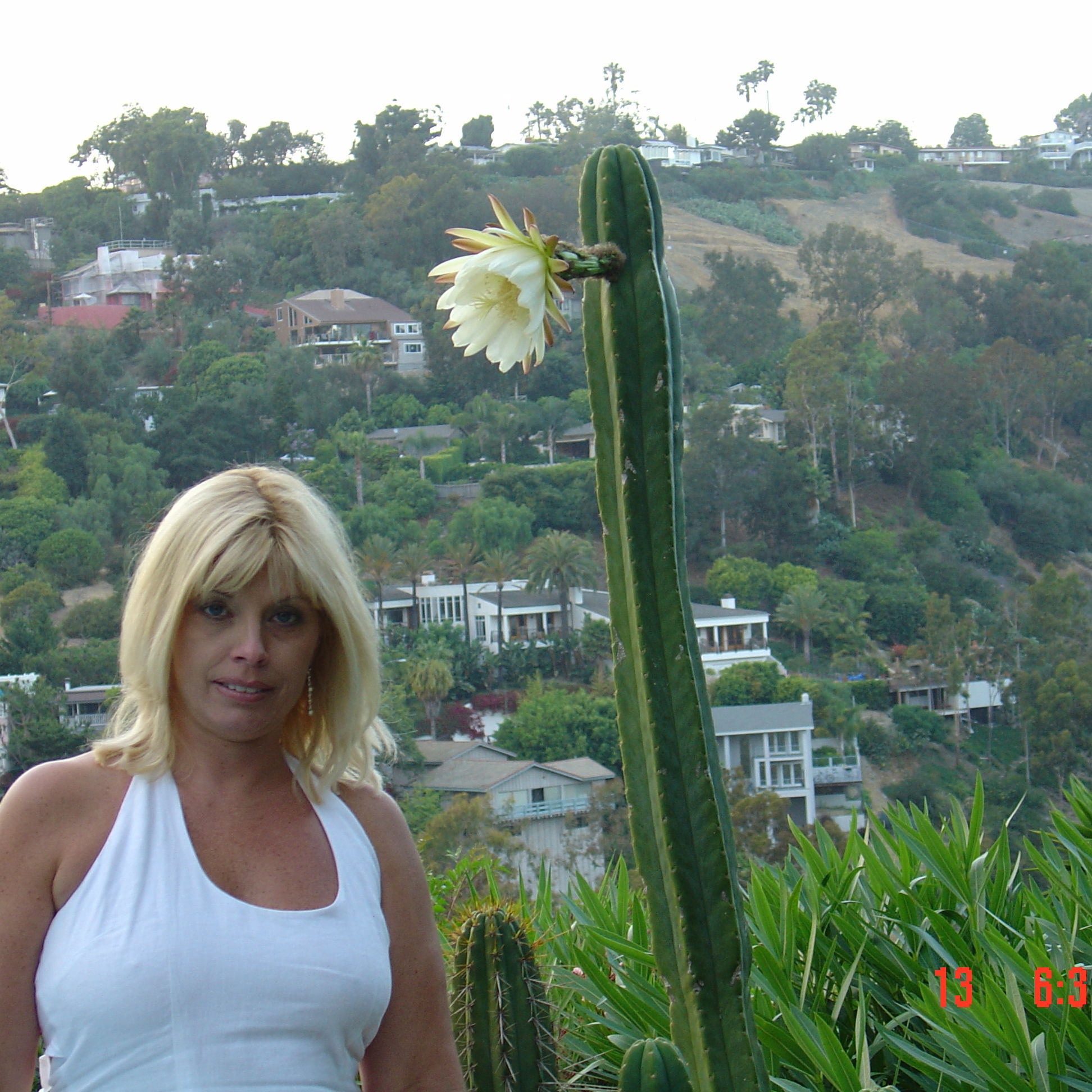 Profile of Stacey Brettin