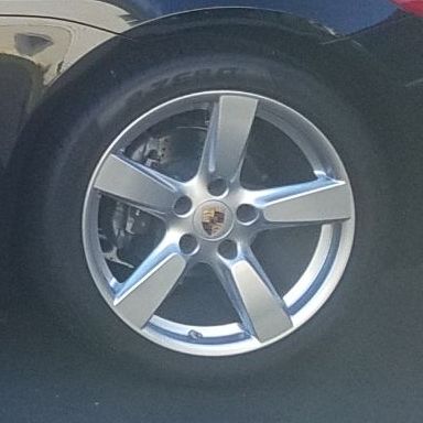 Profile of Dale Hollins