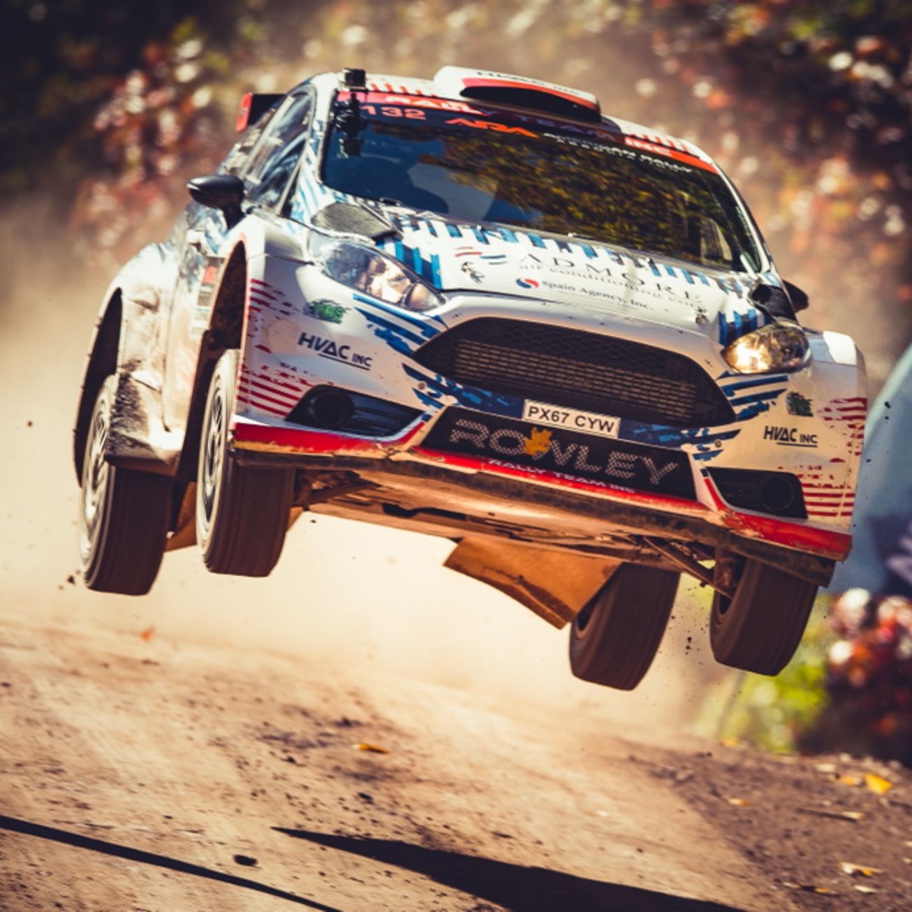 Profile of Paul Rowley