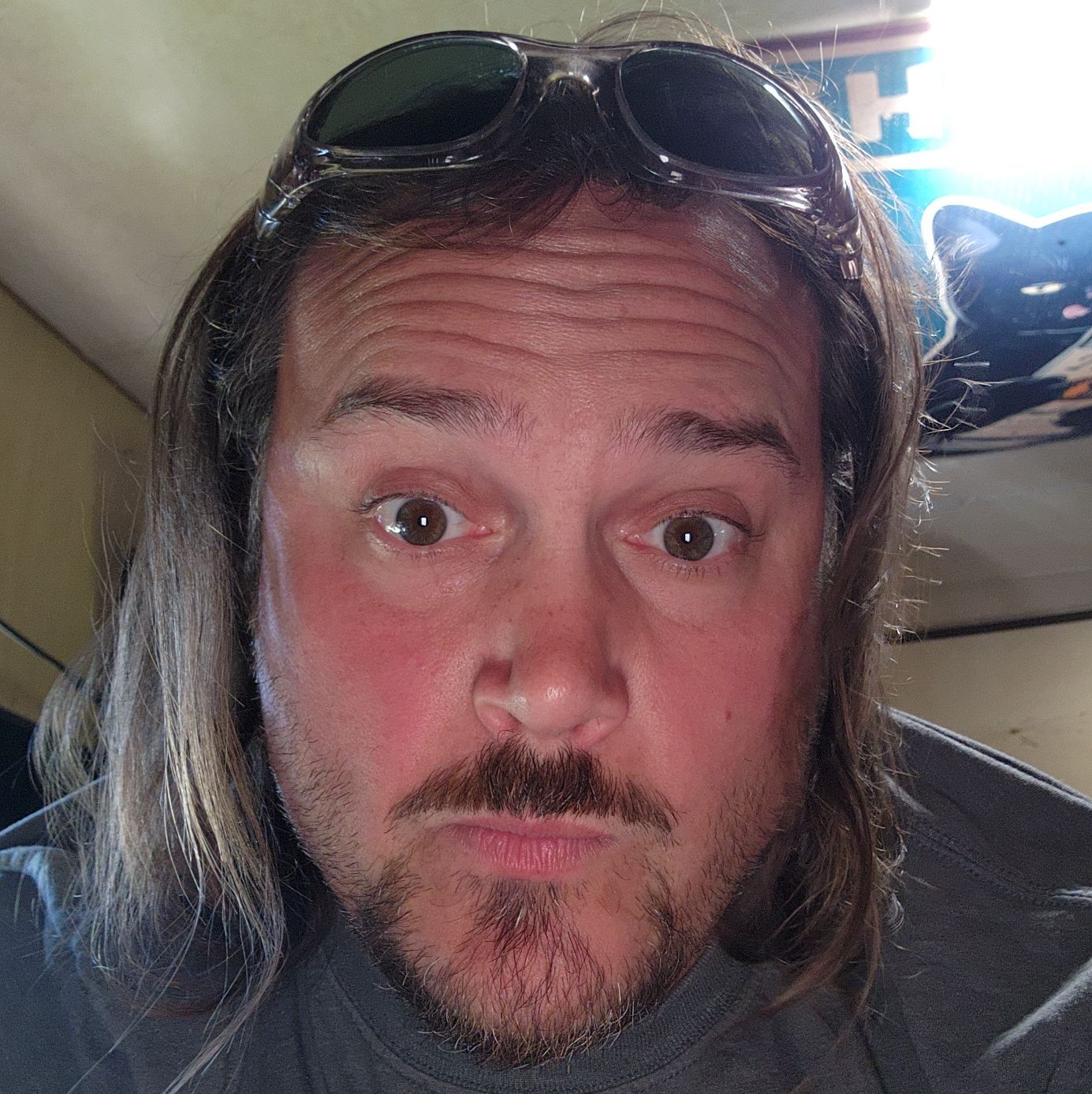 Profile of David Johnson