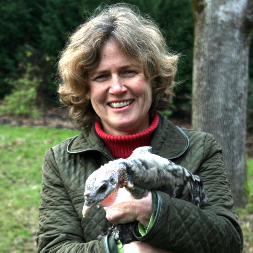 Profile of judy nichols