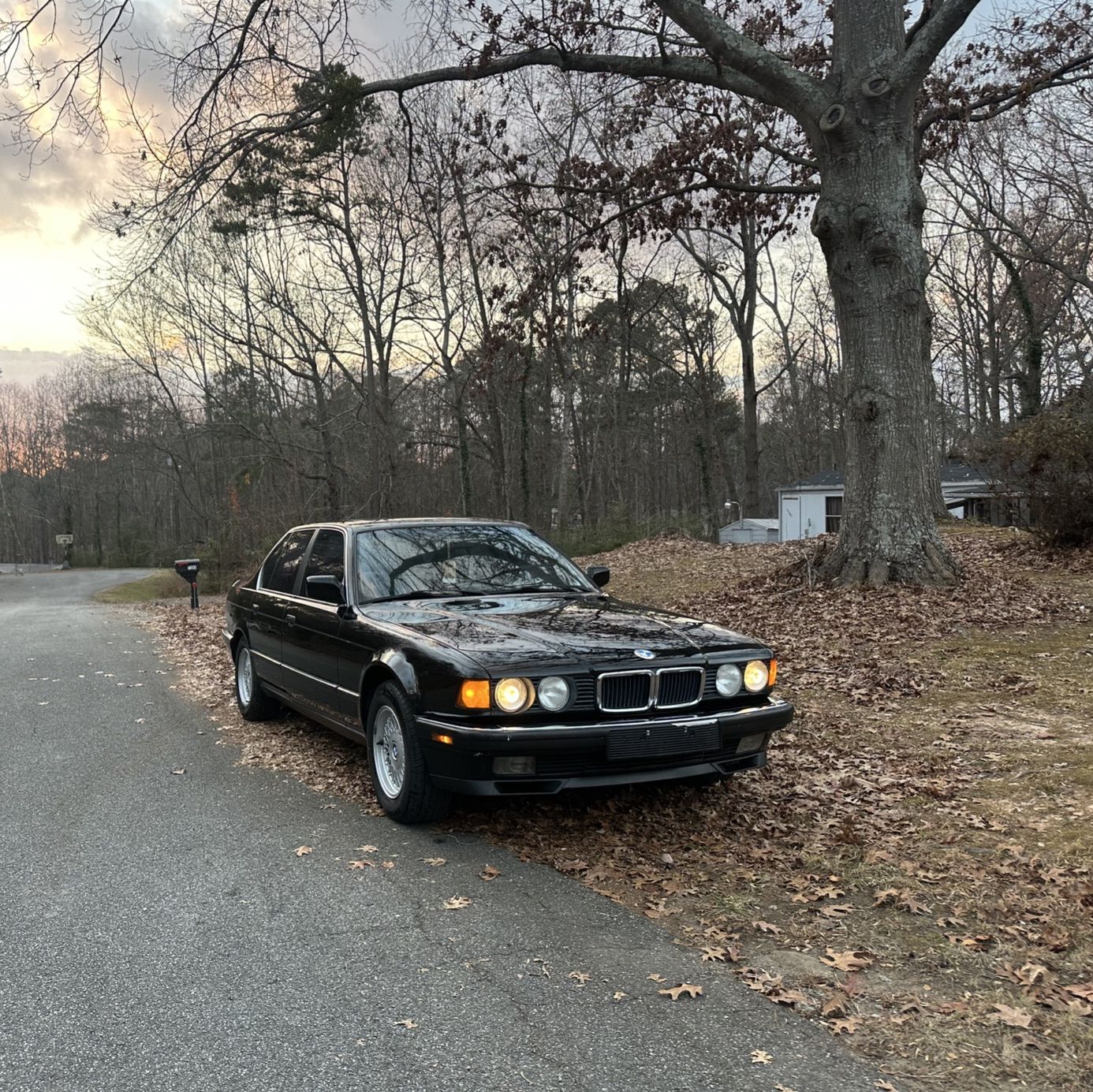 Profile of Benjamin Eckert