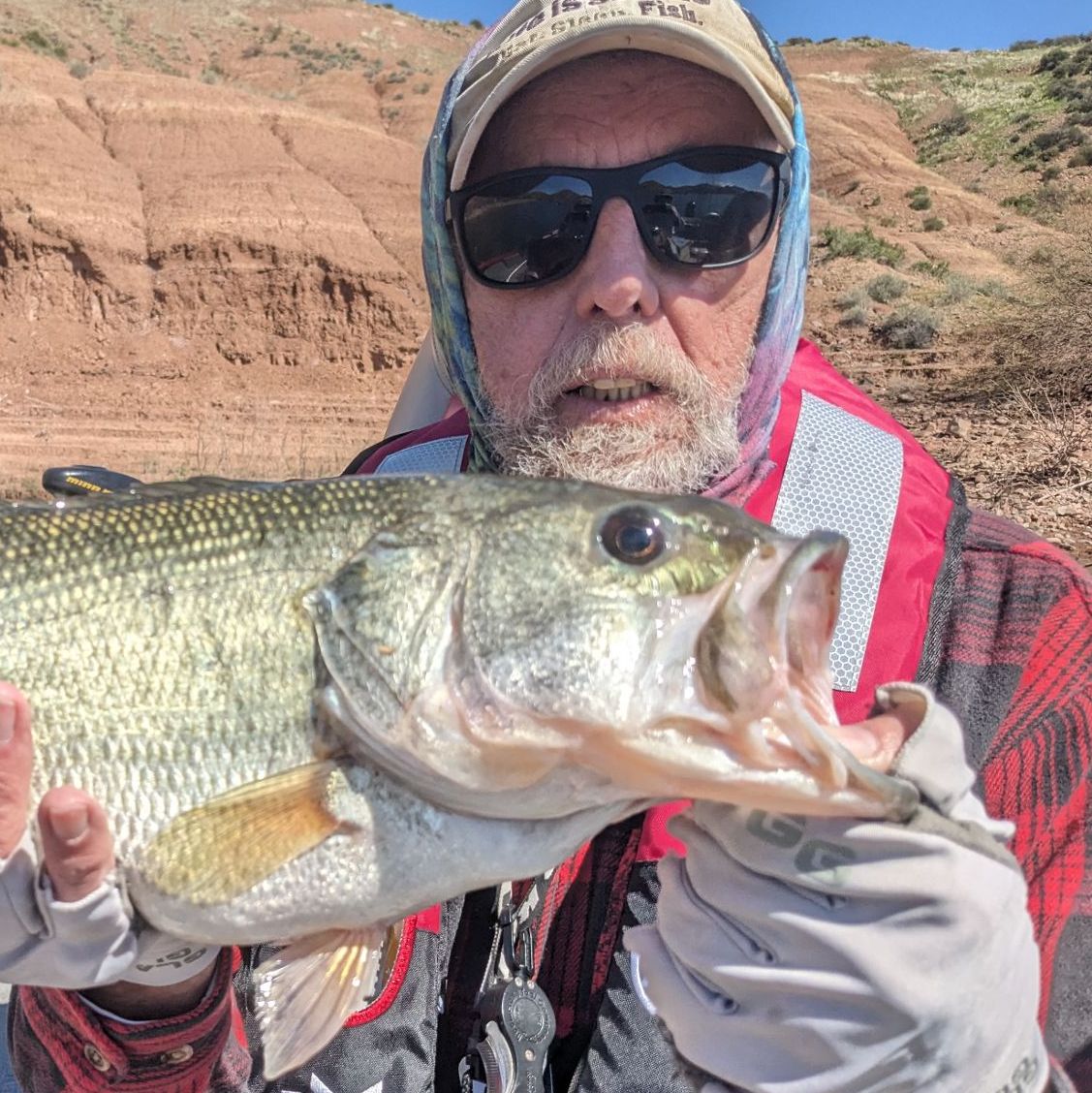 Profile of Martin Kroll