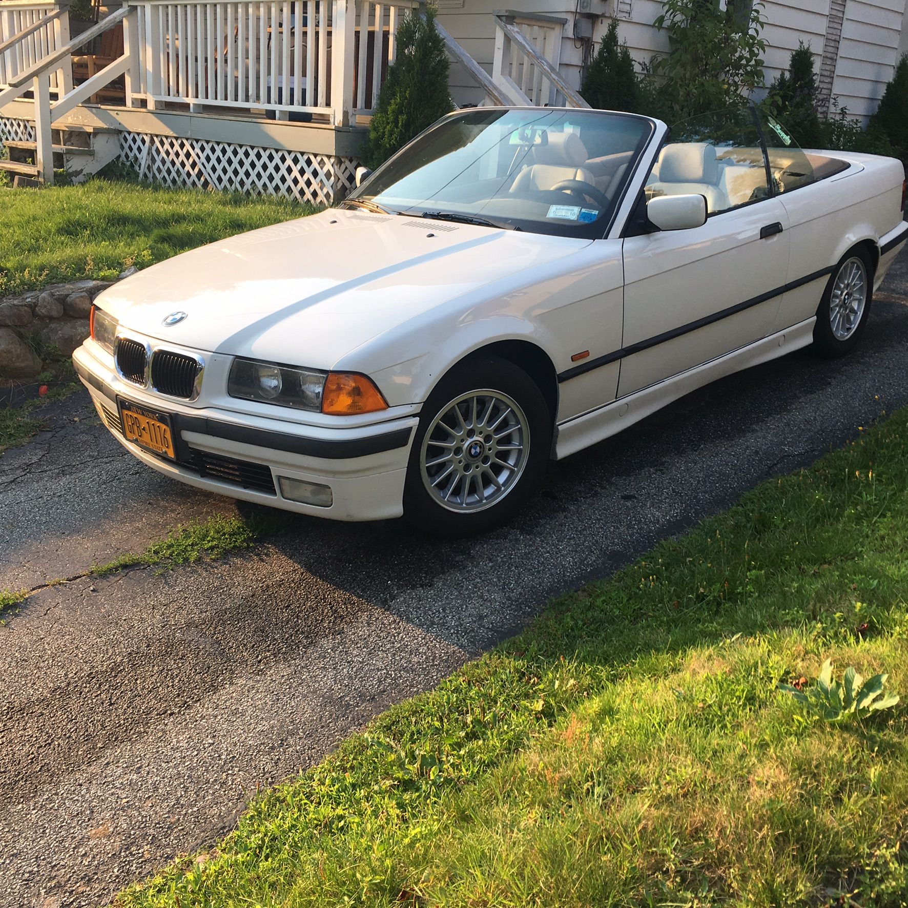 Profile of Stephen Castelhano