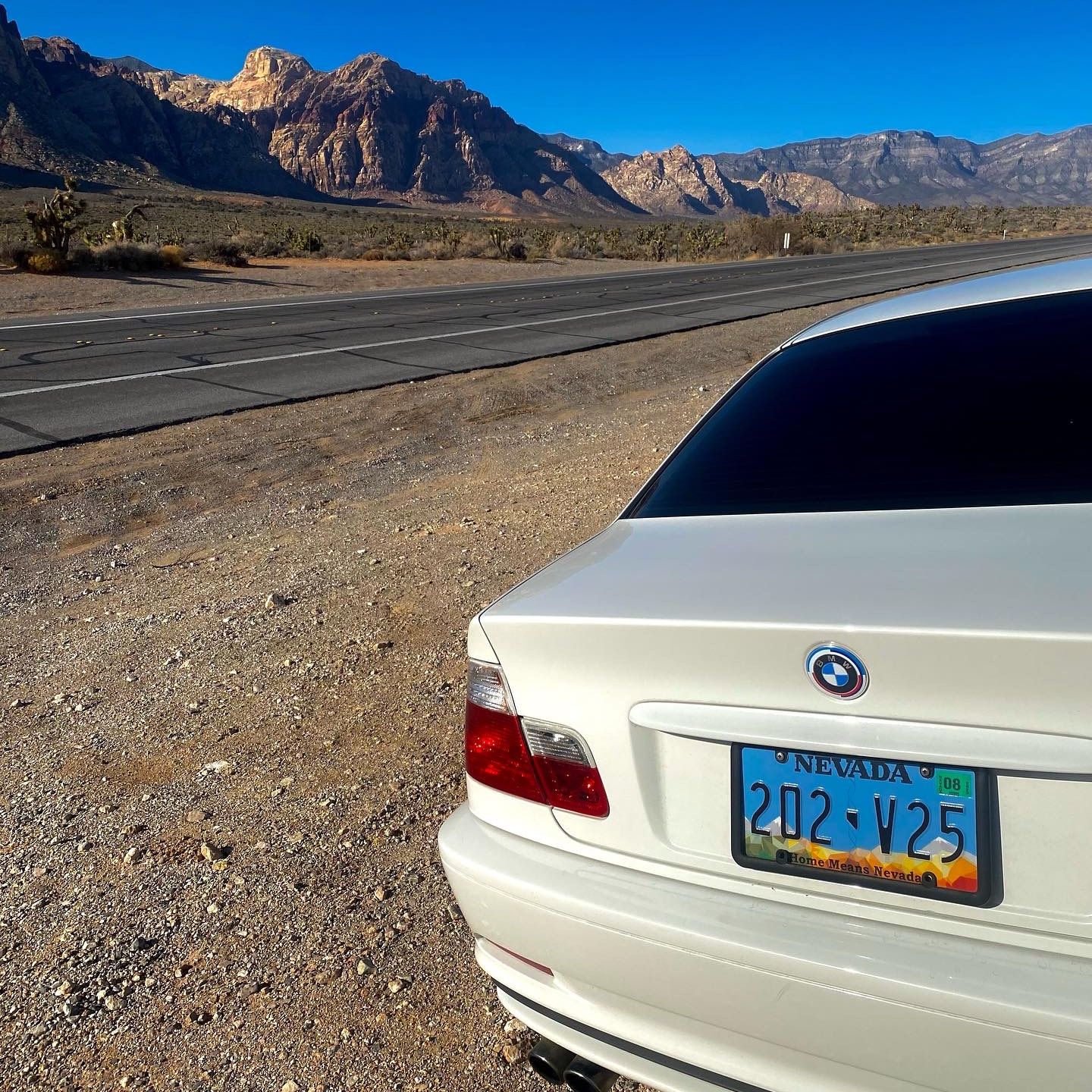 Profile of Salvador Mazariego