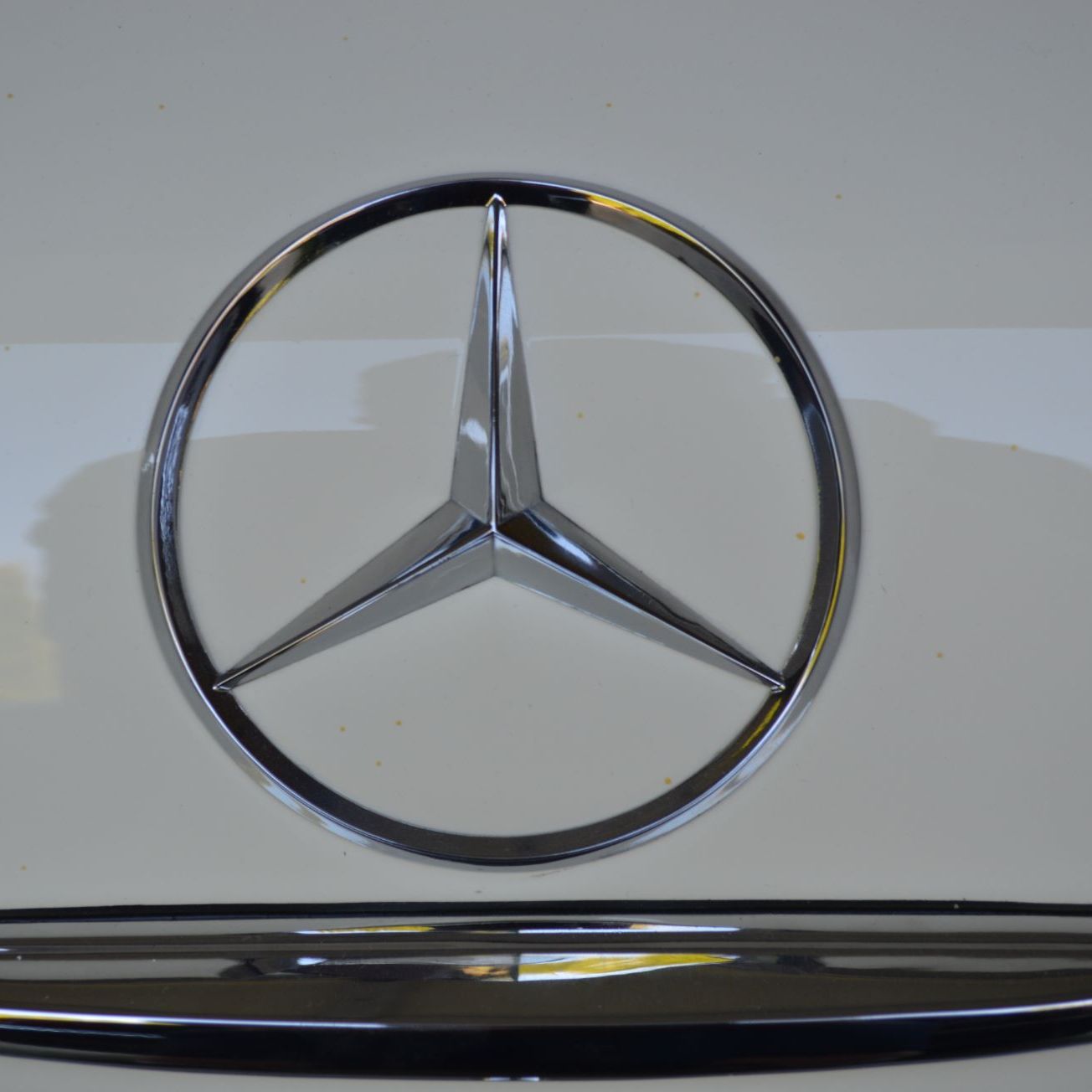 Profile of Greg Bedard