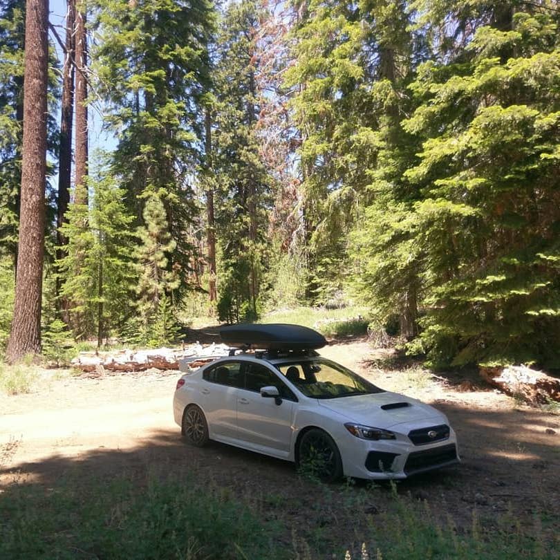 Profile of Diego Tobar