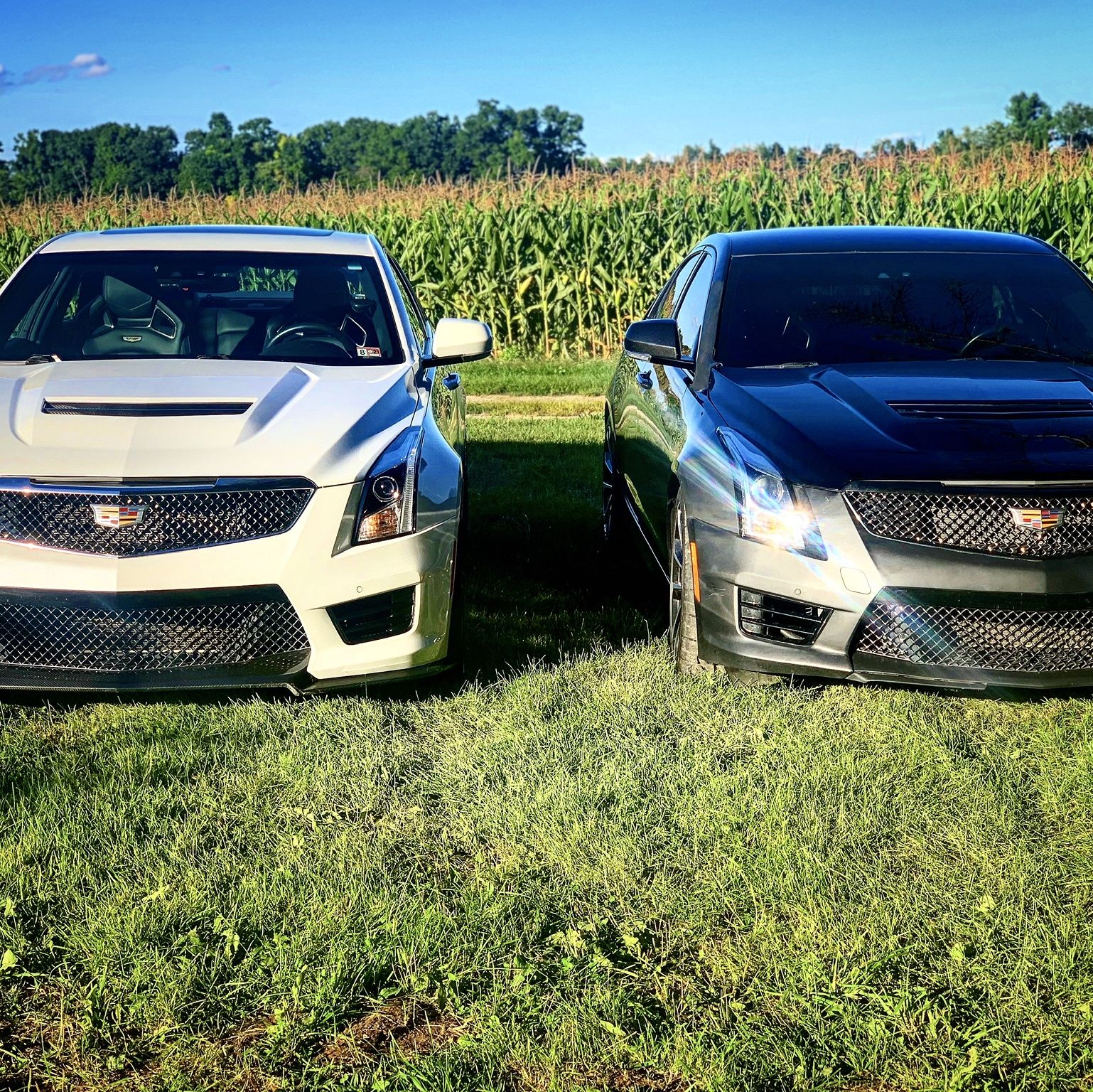 Profile of Steven Cybulski