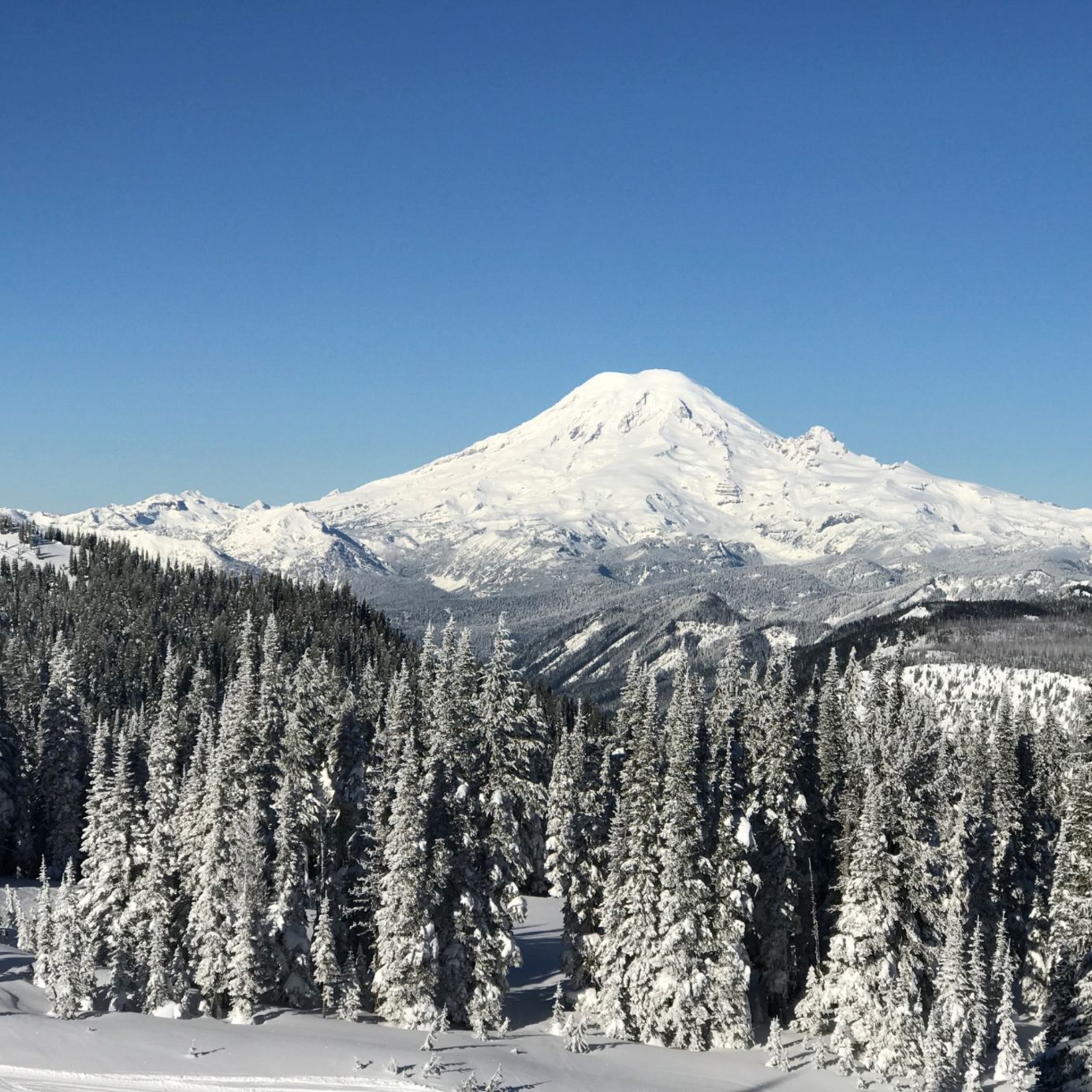 Profile of Derek Lucas