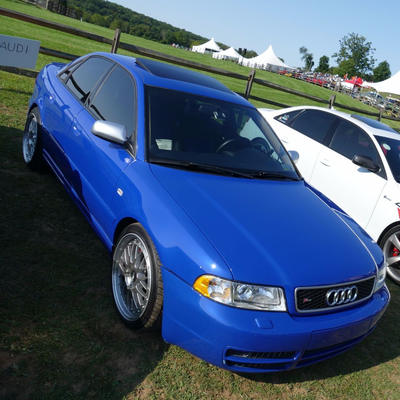 Profile of Jeff Steiglemann