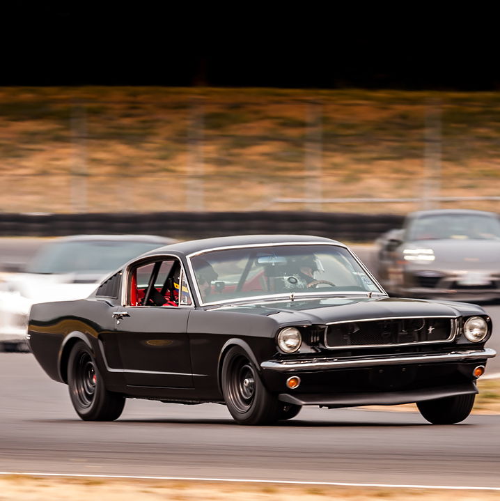 Profile of Daniel Spiegel