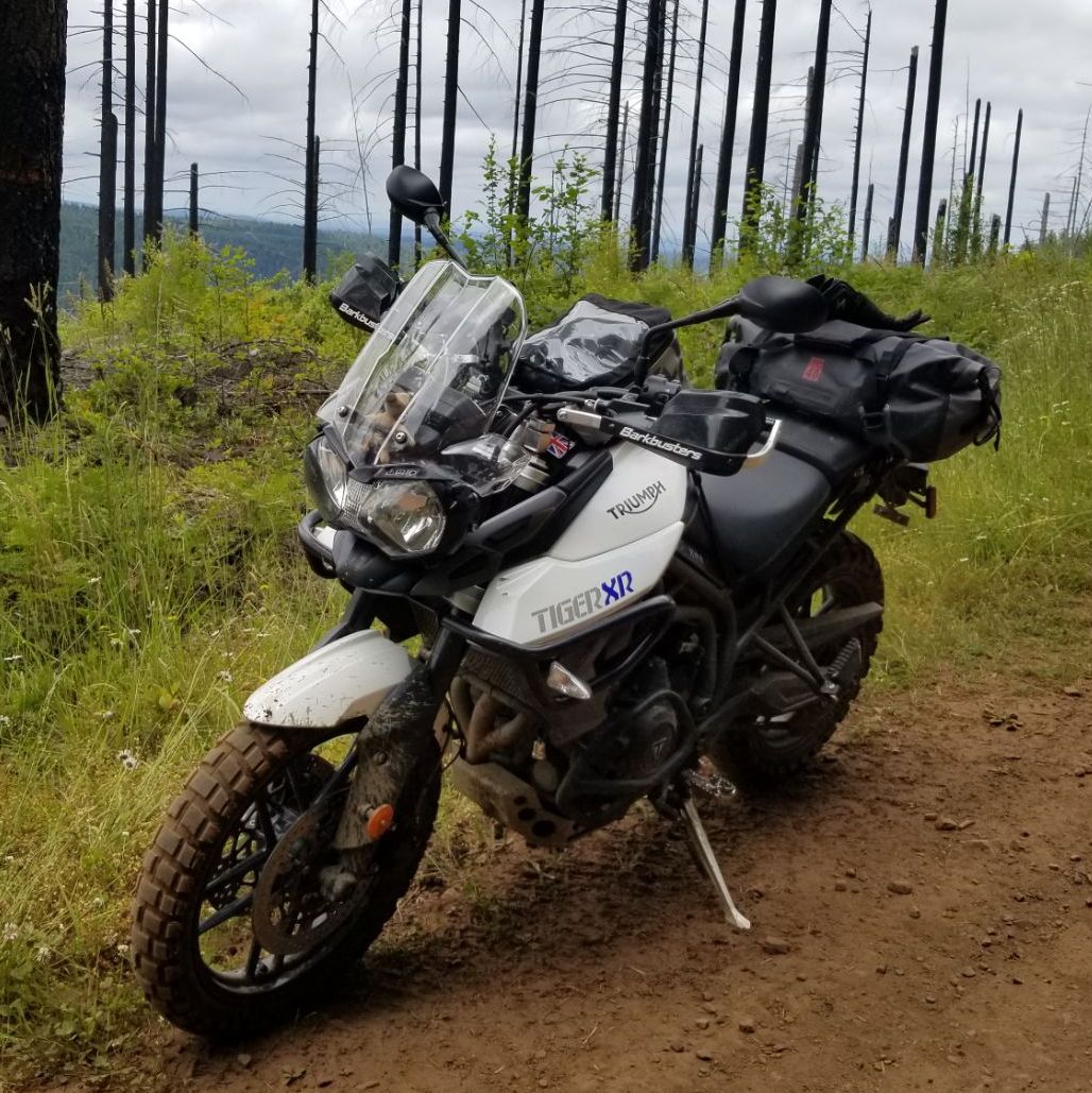 Profile of Cole Akins