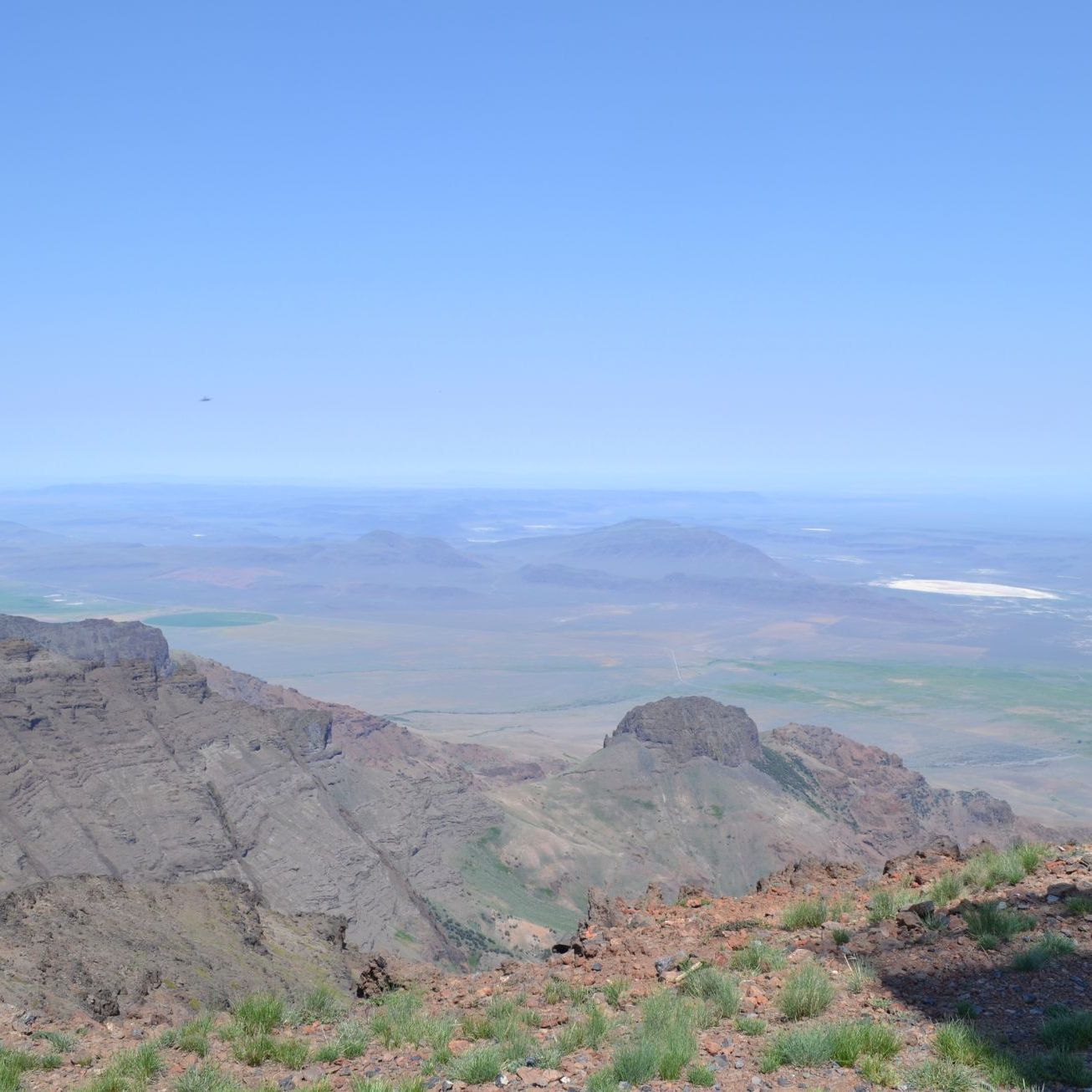 Profile of Donald Morton