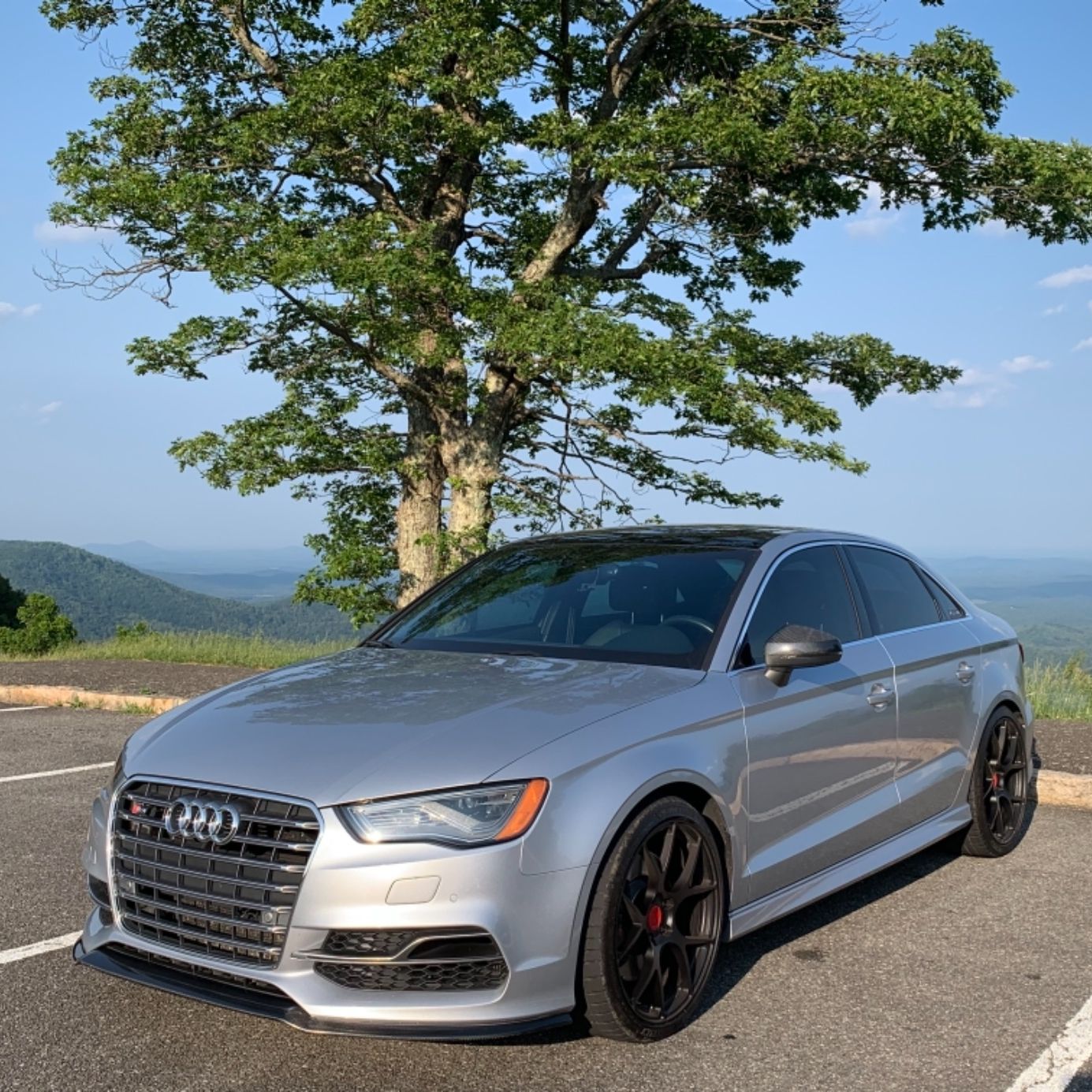 Profile of Ralf Leistikow