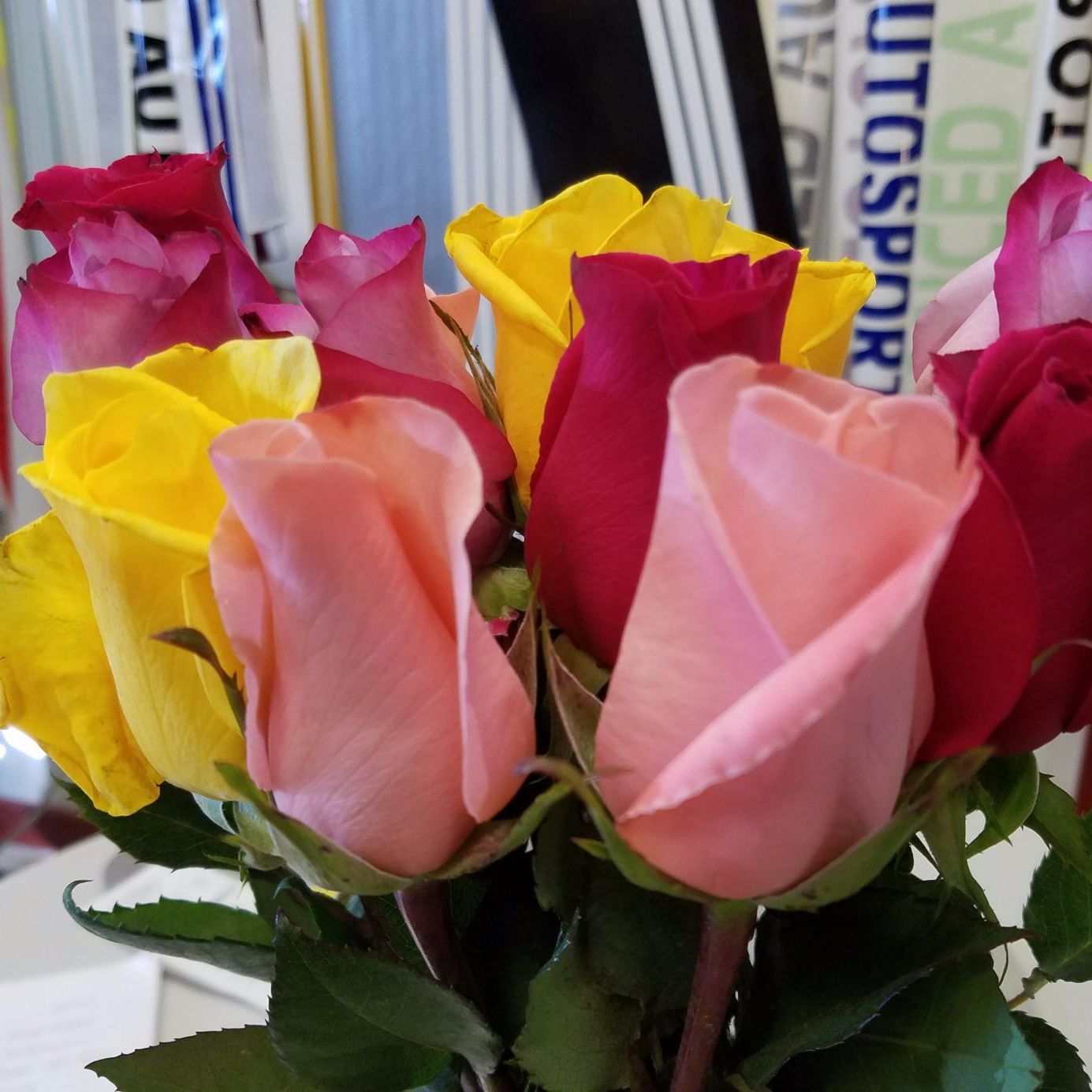 Profile of Ann O'Malley