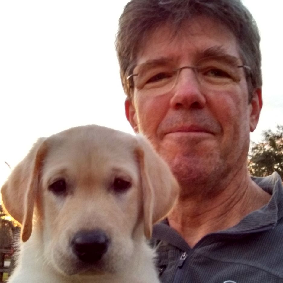 Profile of Roger Wilson