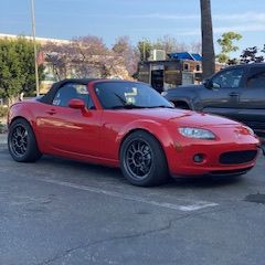 Profile of Matt Bell