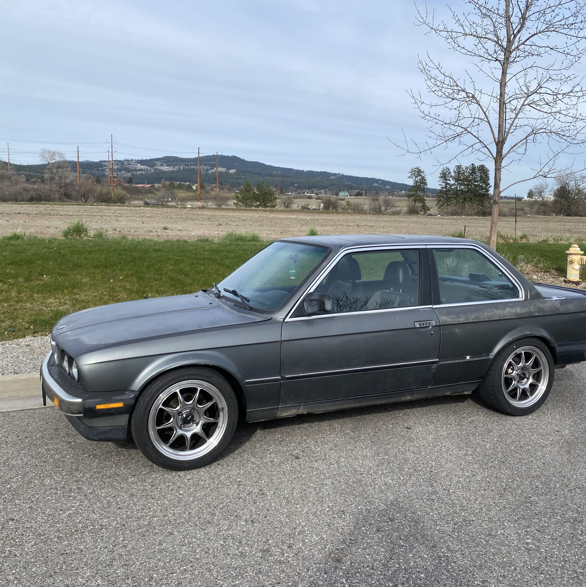 Profile of Jeremy Sneddon