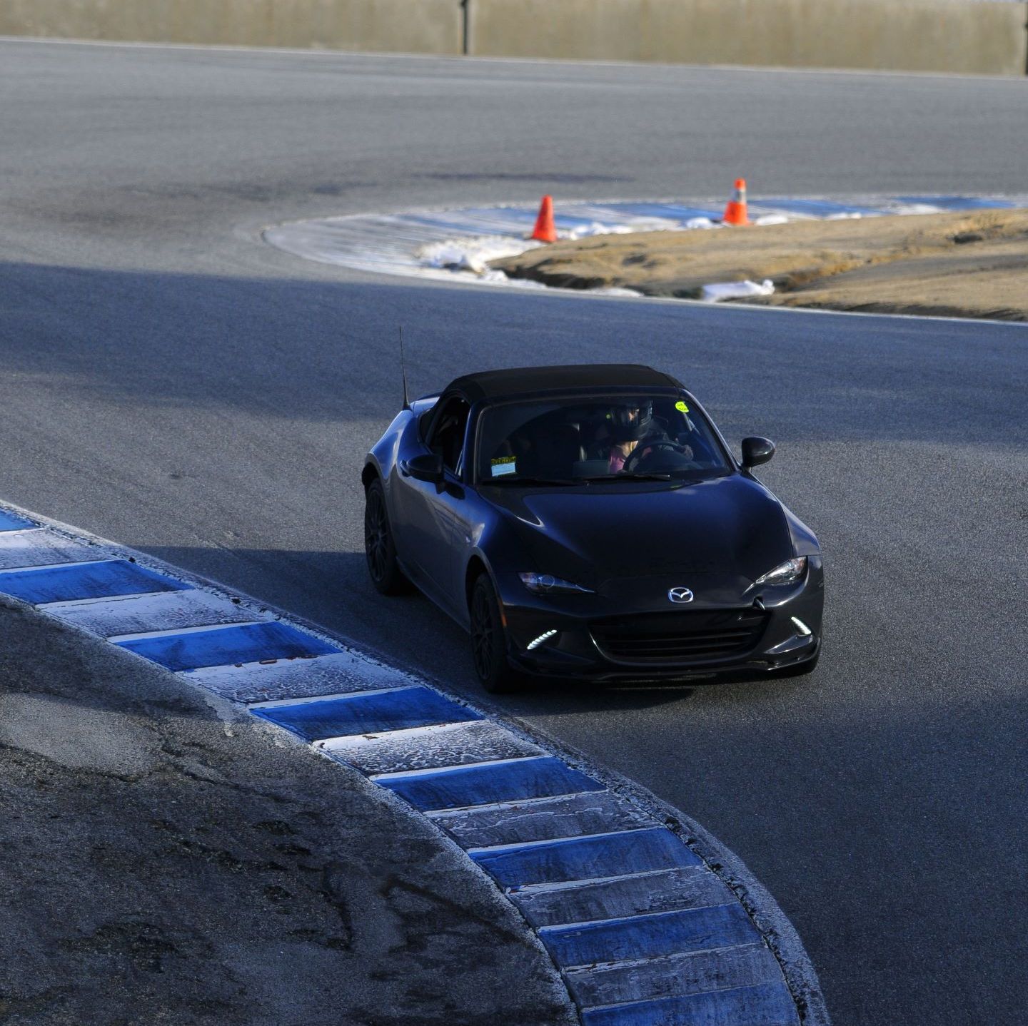 Profile of Laura Hagens