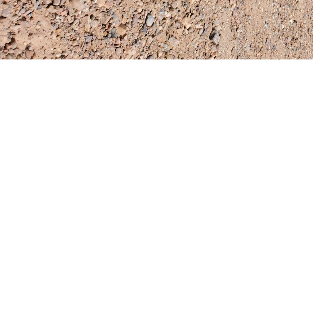 Profile of Sam Montoya