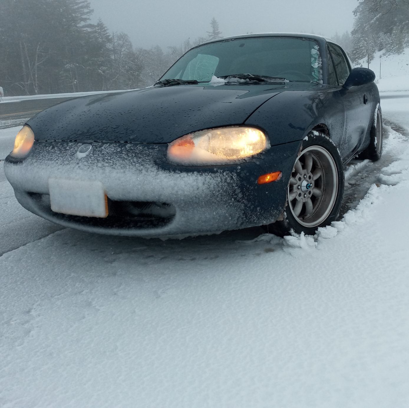 Profile of Jerard Shaha