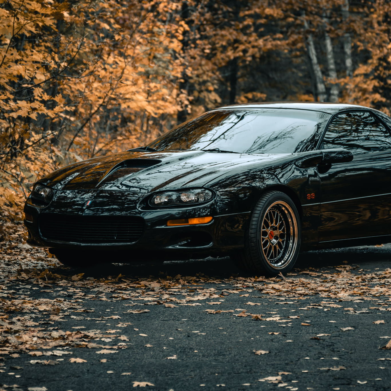 Profile of Garth Popps