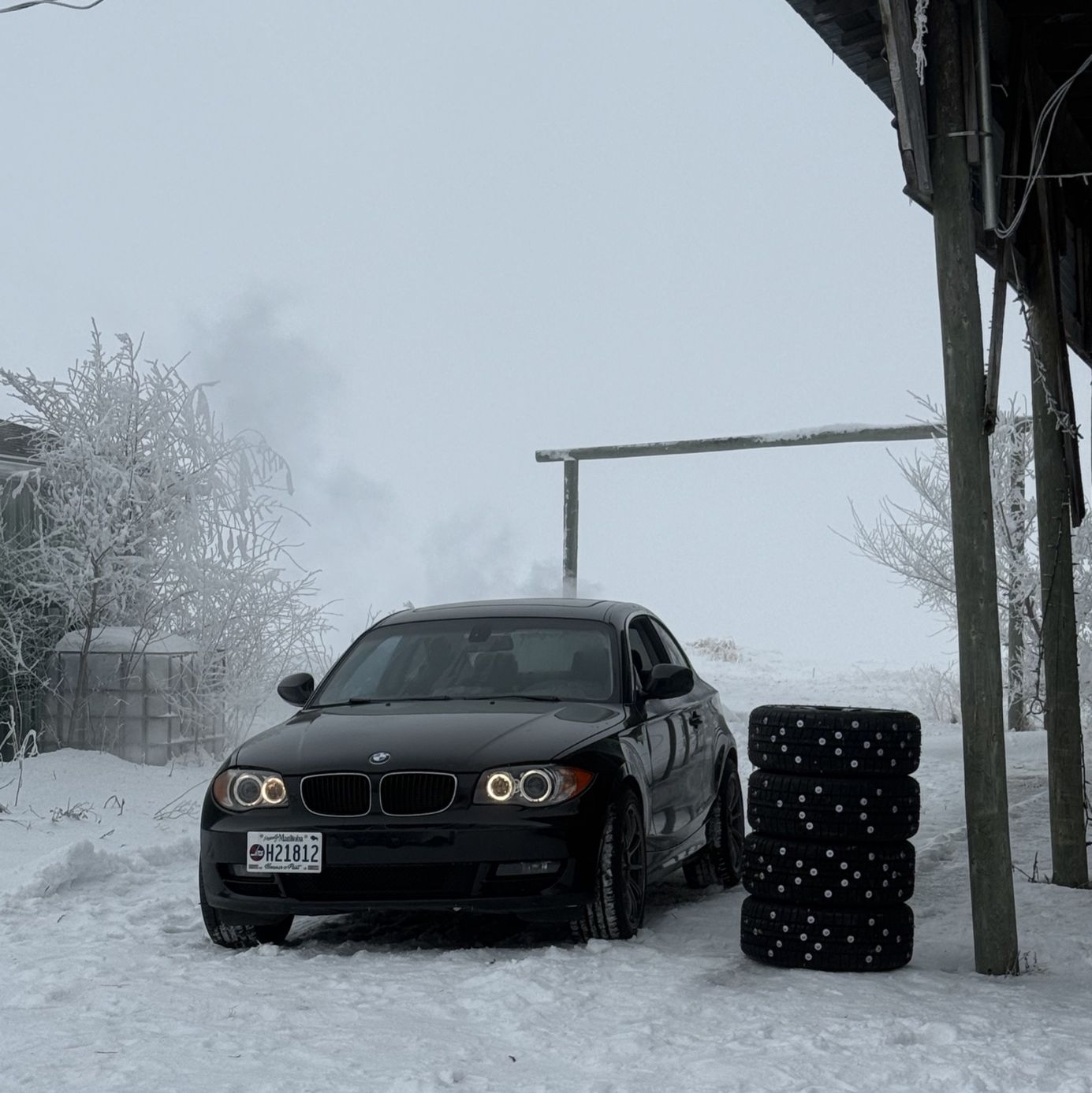 Profile of Paul Malo