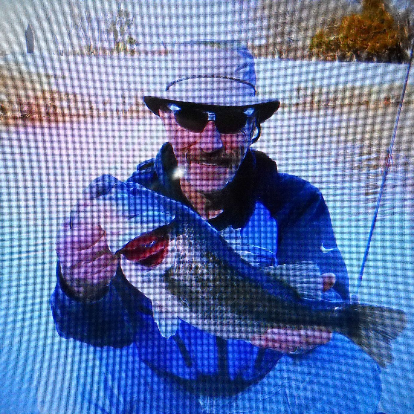 Profile of Bruce Crone