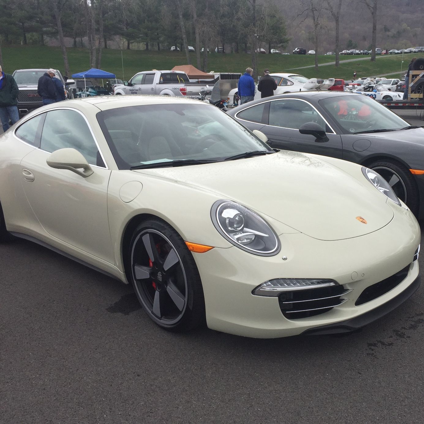 Profile of Kevin Williams