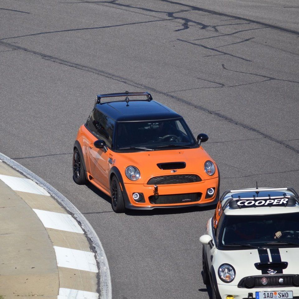 Profile of Alex Wilcox