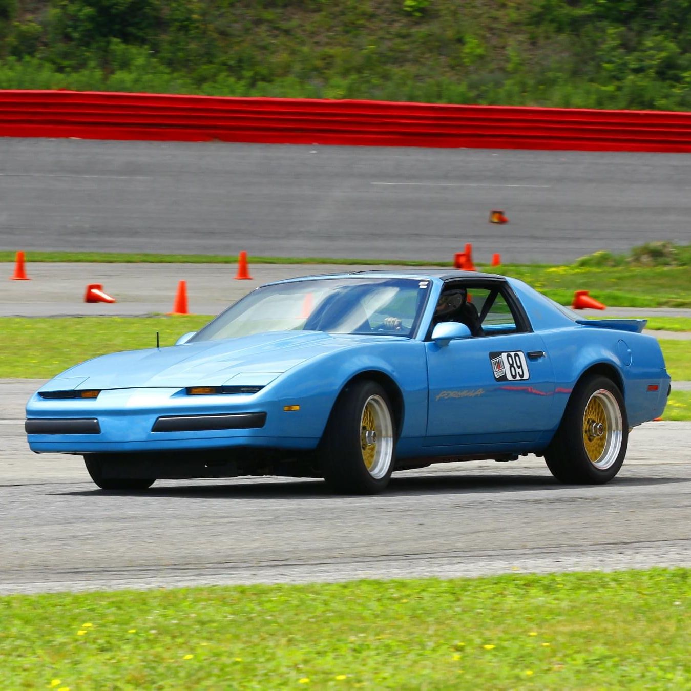 Profile of Michael Weiss