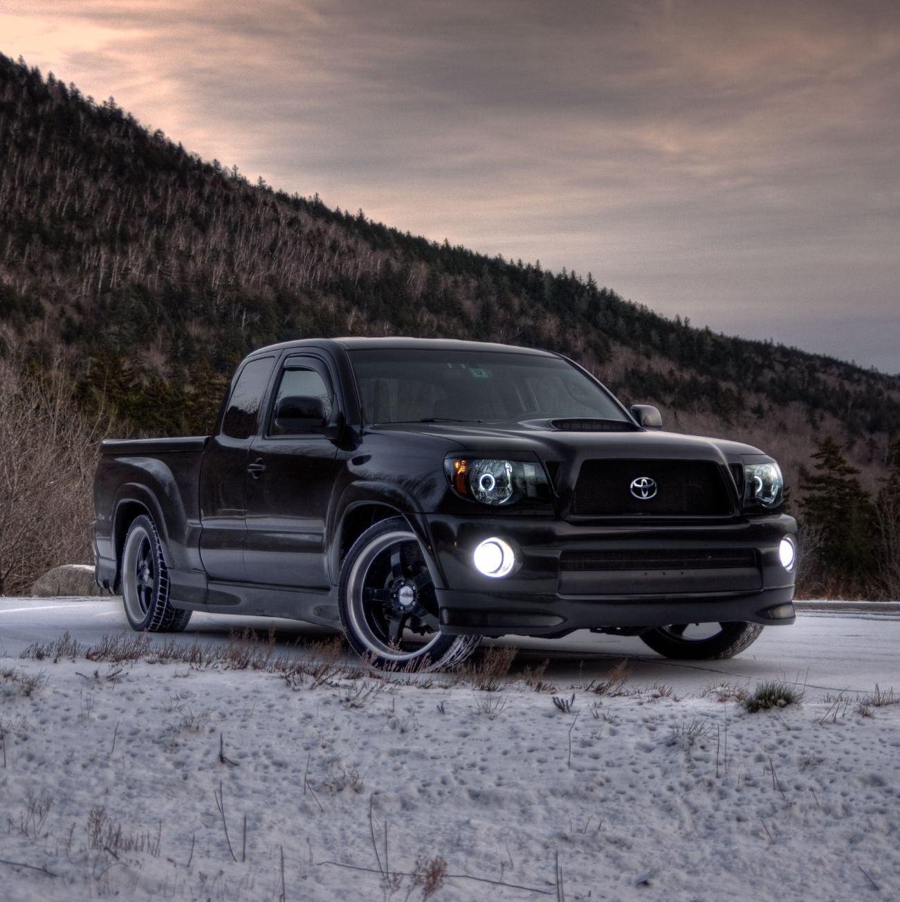 Profile of Matthew Moore