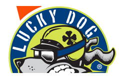 Lucky Dog Test Day
