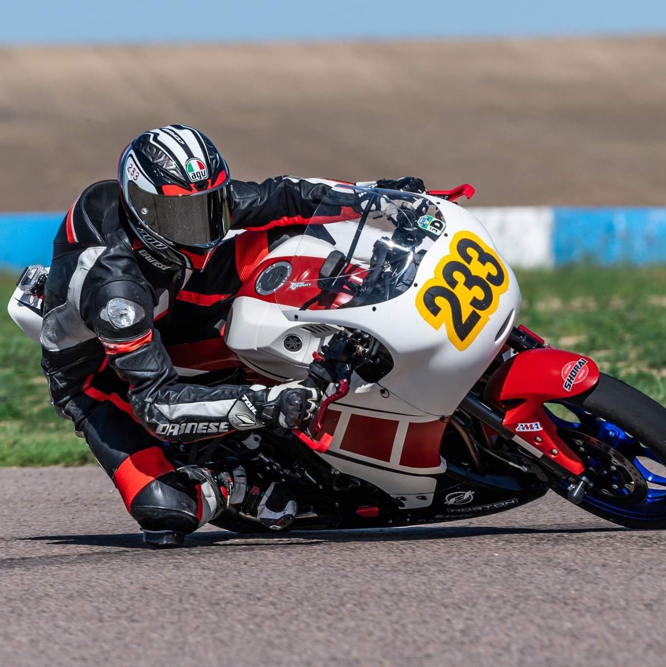 Profile of Jared Shauers