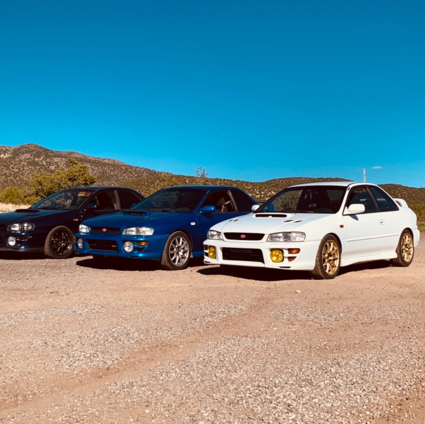 Profile of Kelsey Johnson