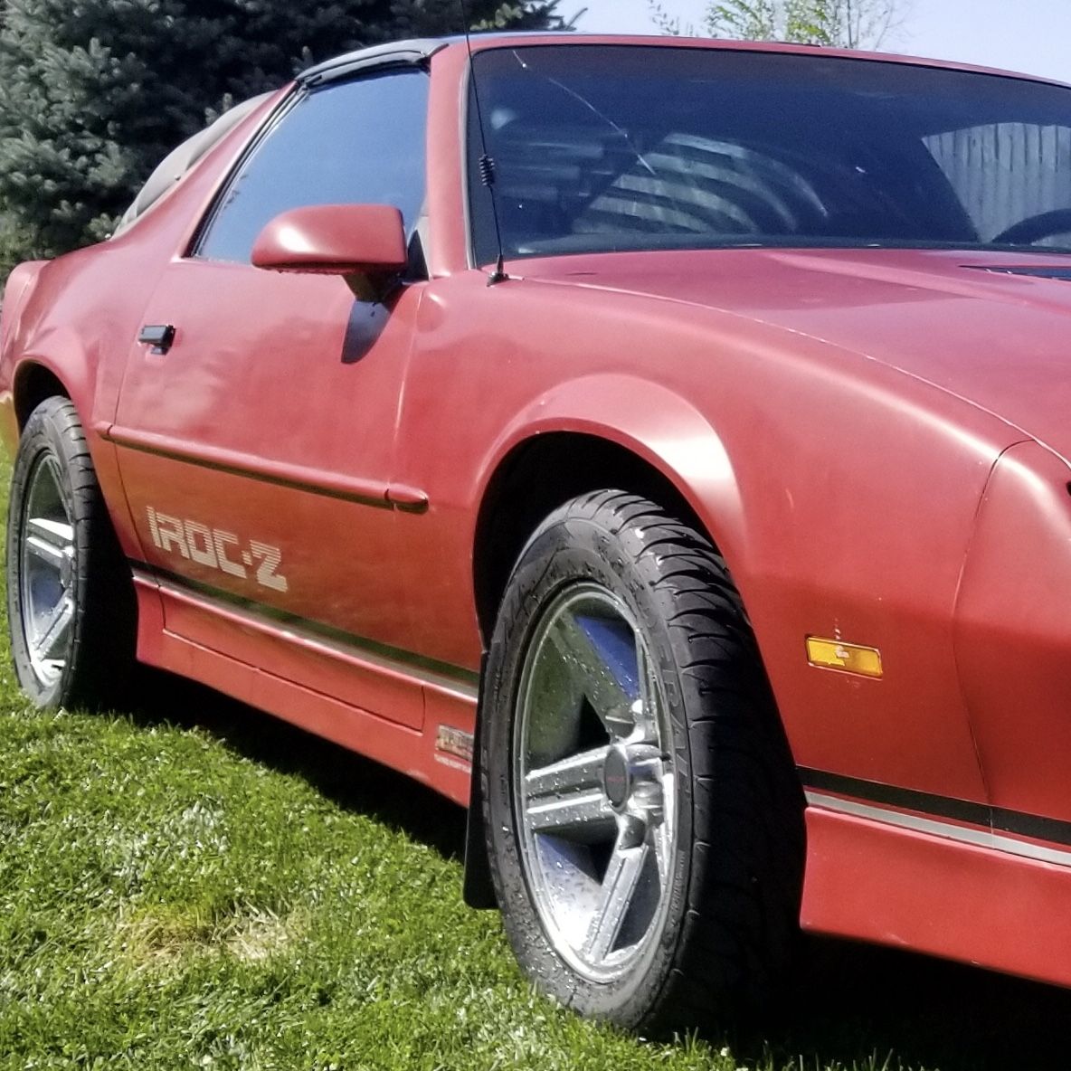 Profile of Larry Tesch