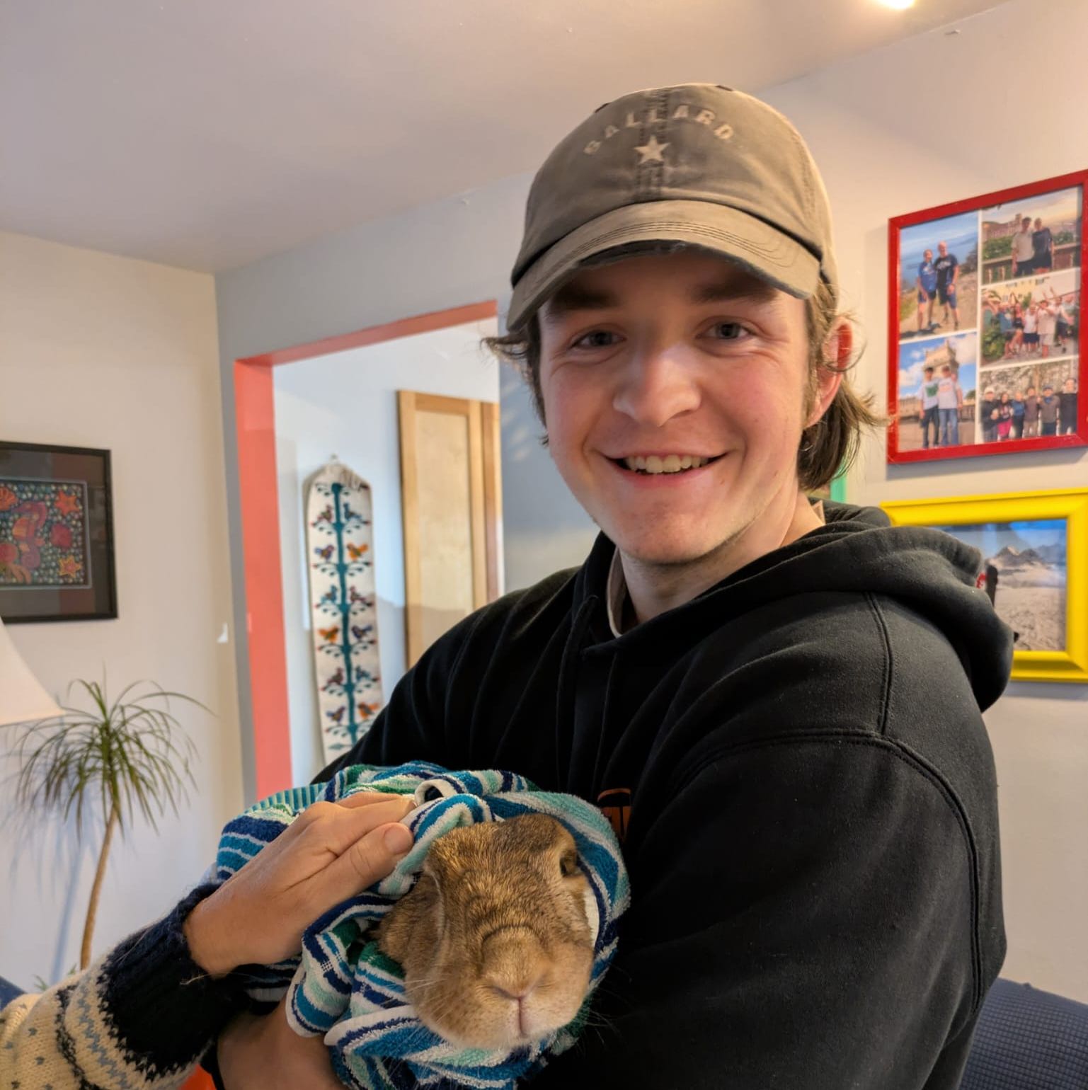 Profile of Lochlan Stevenson