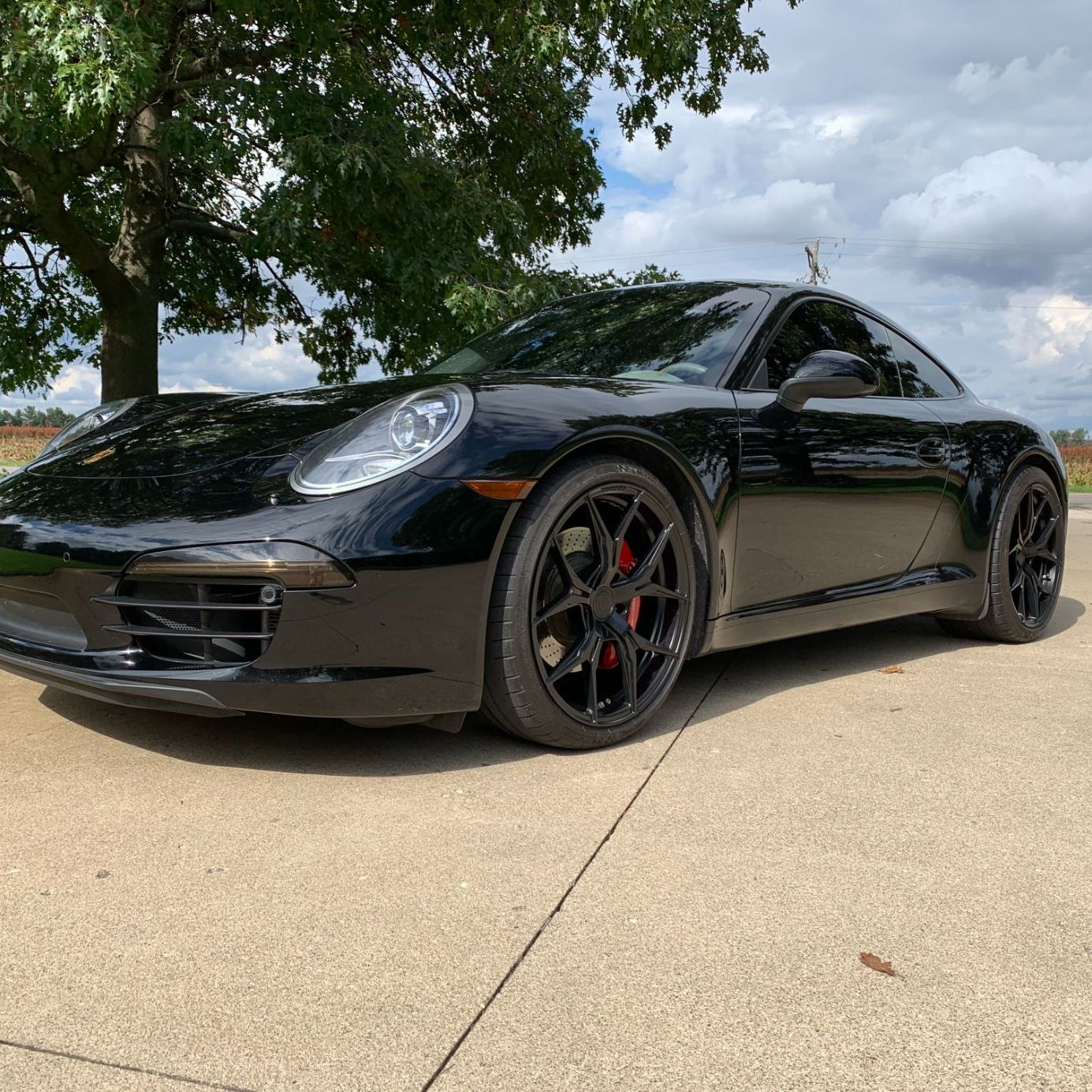 Profile of Sean Andrews