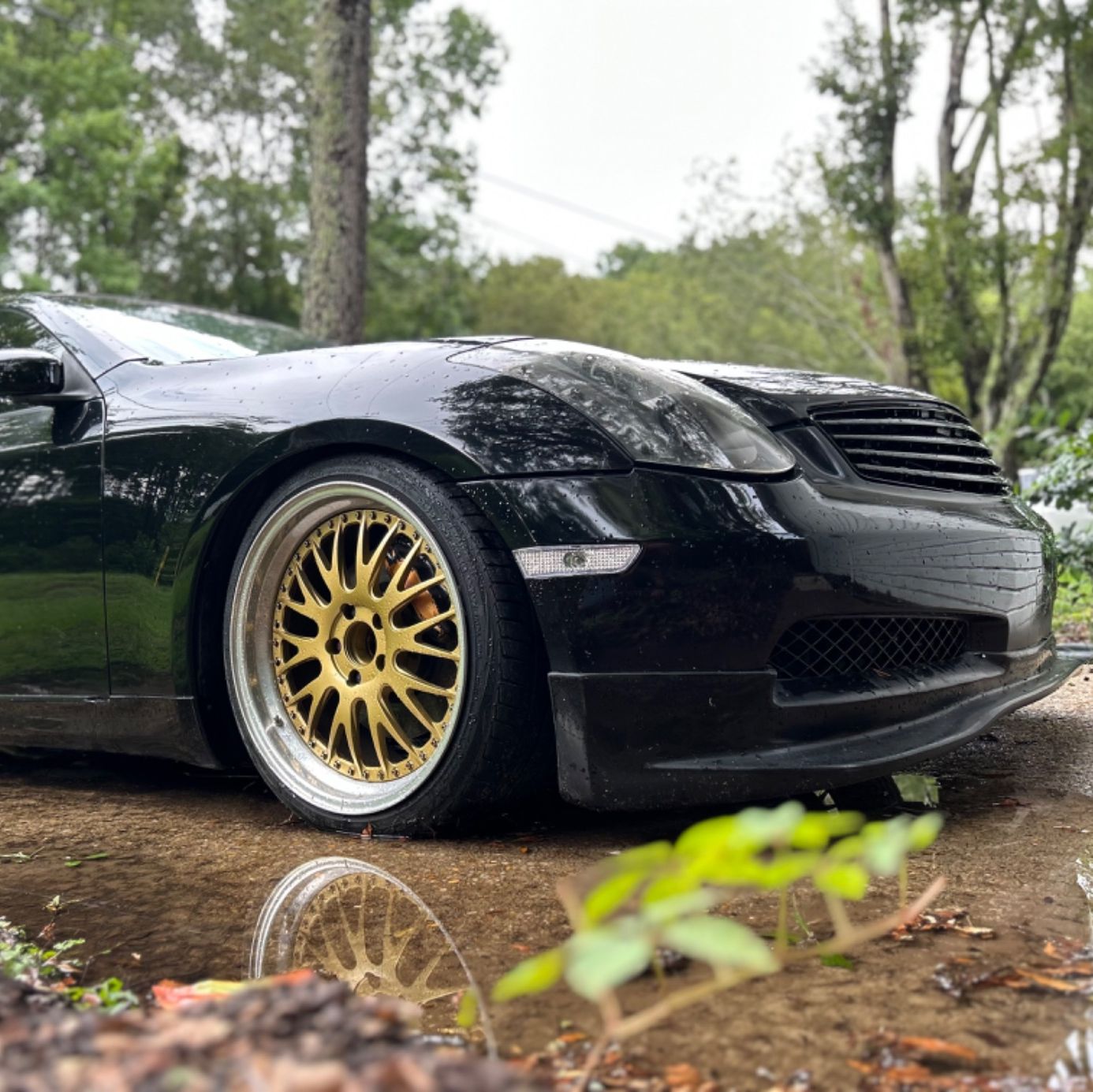 Profile of Miguel Zuluaga