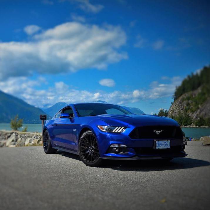 Profile of Nicolas Negahban