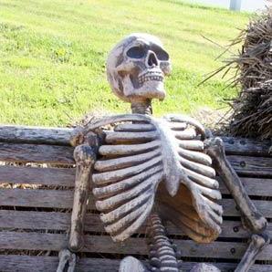 Profile of Ayron Young