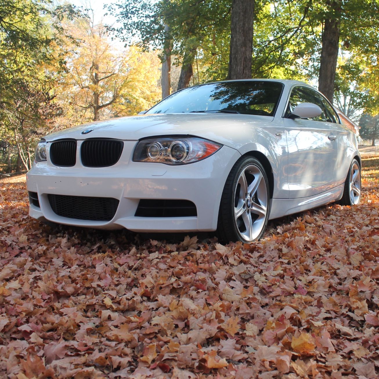 Profile of William Engleman