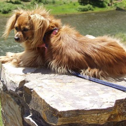 Profile of Cecil Barbee