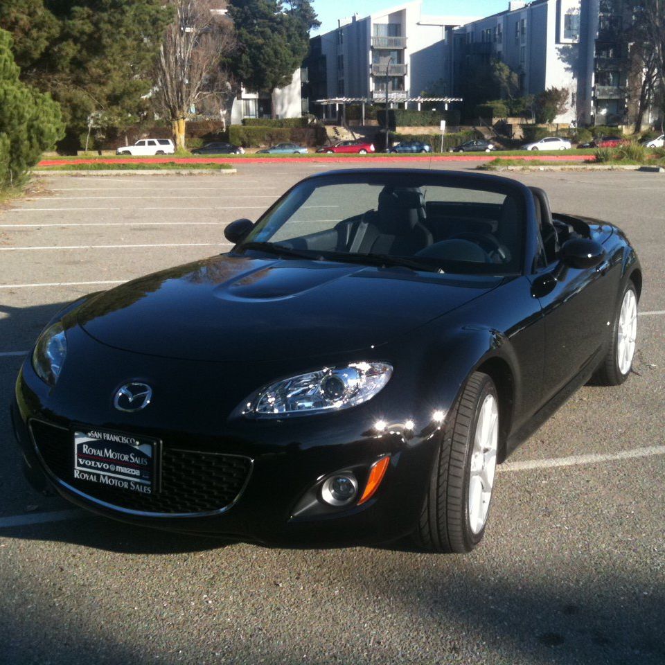 Profile of Lucia Catalano