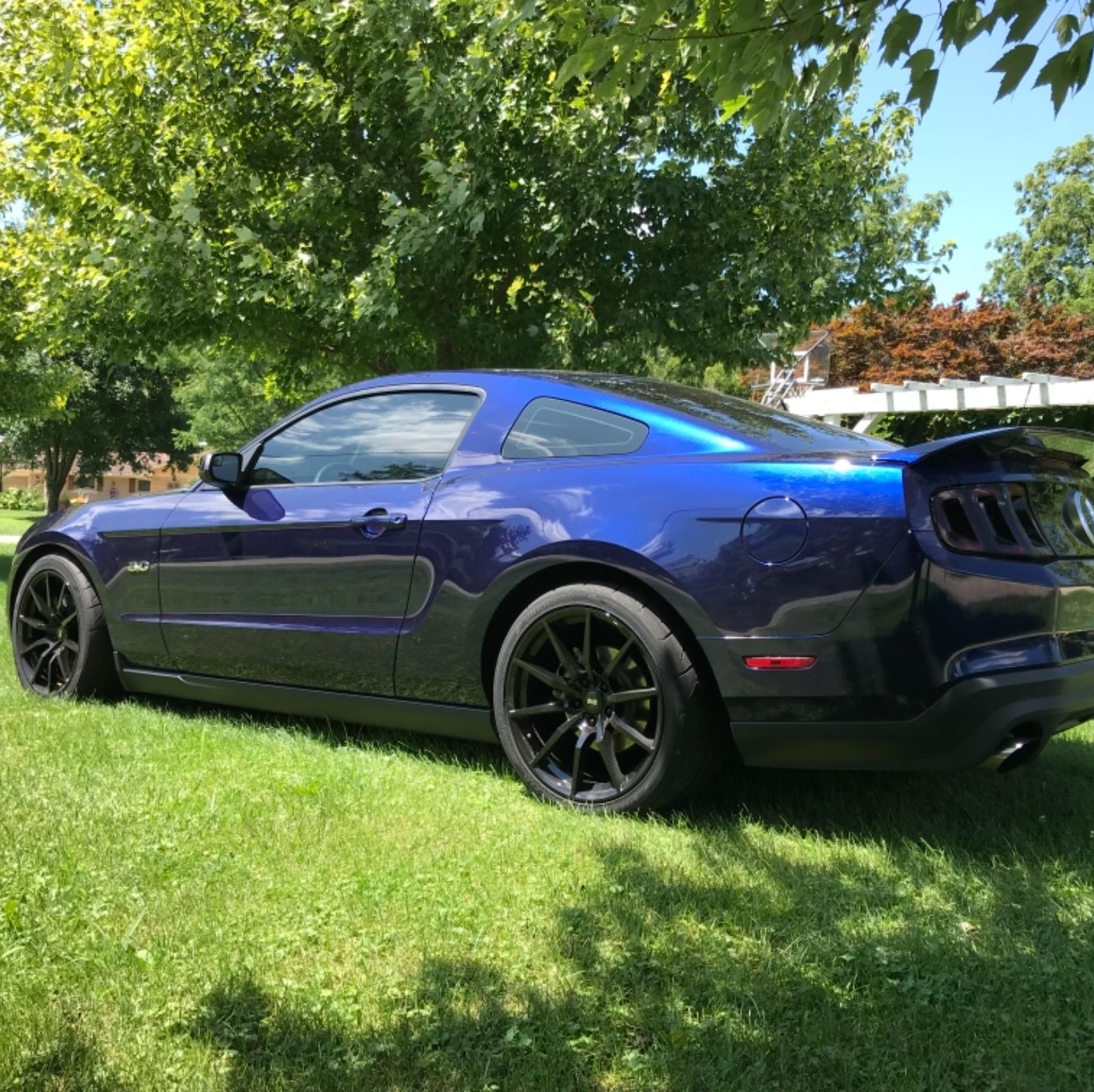 Profile of Brian Domont