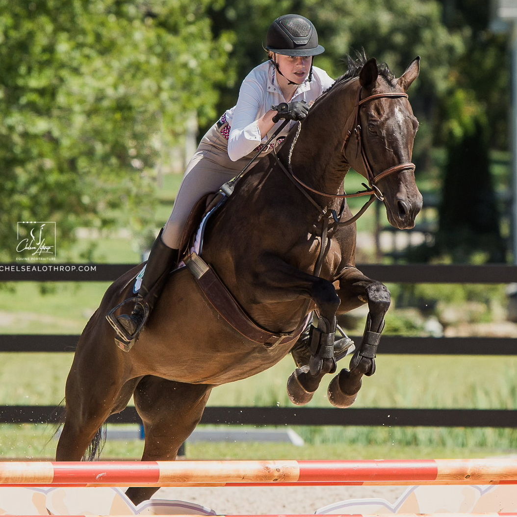 Profile of Kate Fester