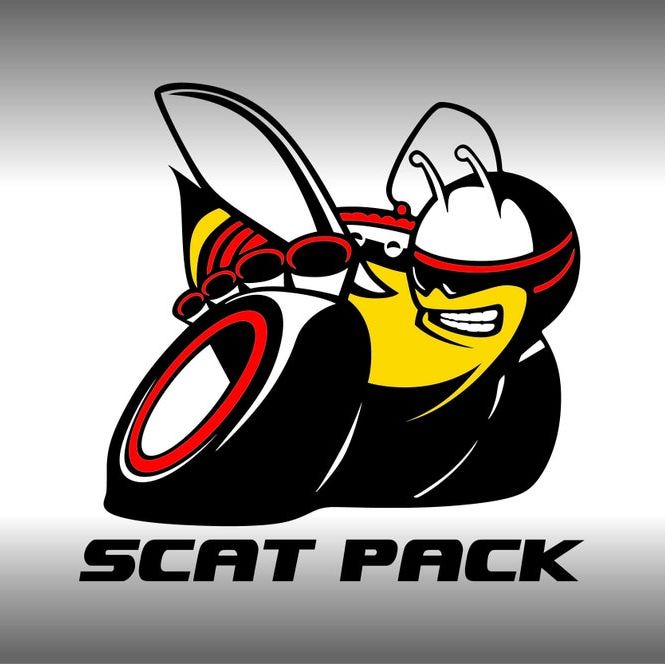 Profile of Dan Laszlo